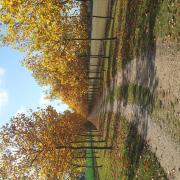 2011-10-30 11.52.47