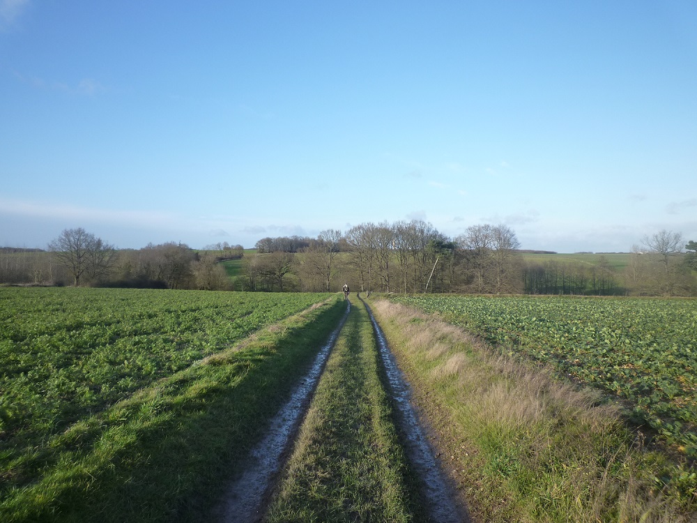 P1030883 Chemin de randonnée(GARELLY)