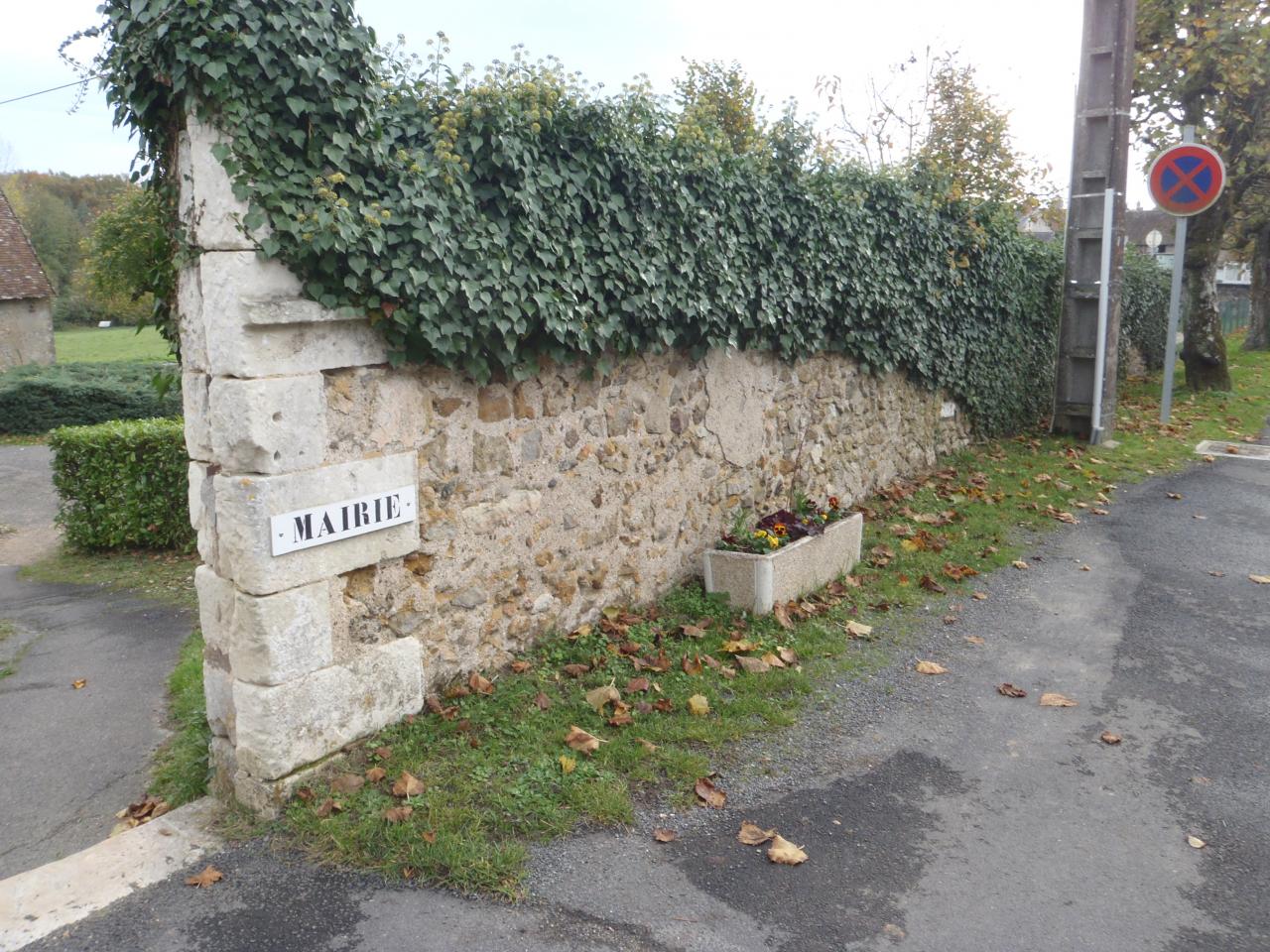 Allée des tilleuls